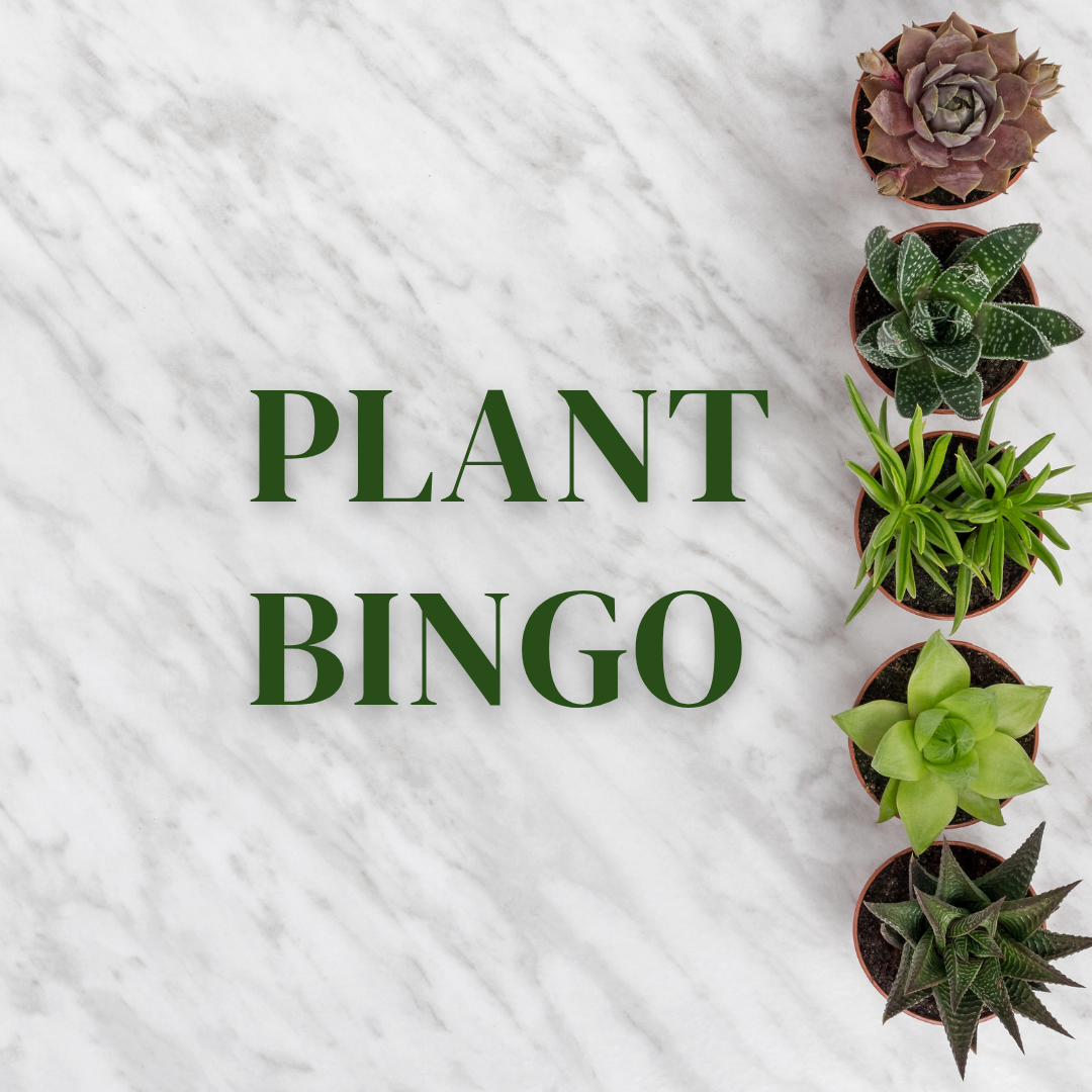 Plant Bingo - Friday, July 17th, 2026 - $25 Per Person