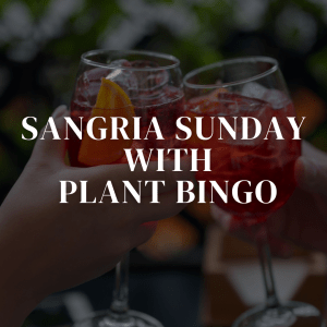 Sangria Sunday with Plant Bingo | Sunday, August 30th | $25 Per Person
